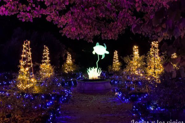 Naturaleza Encendida