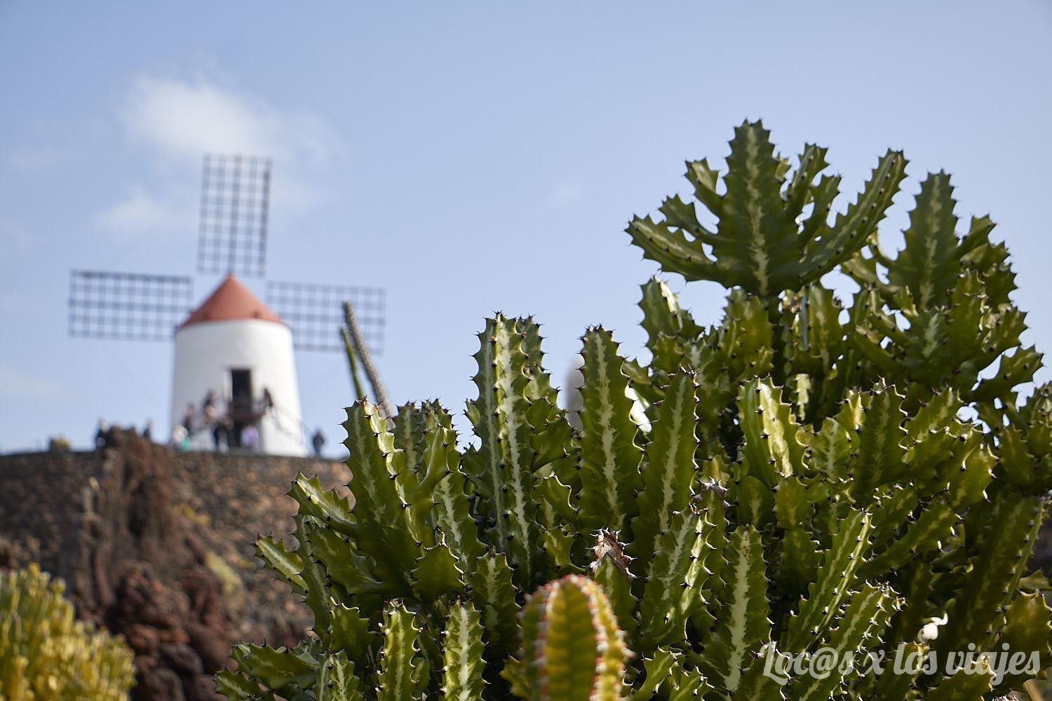 Jardín de Cactus, en Lanzarote
