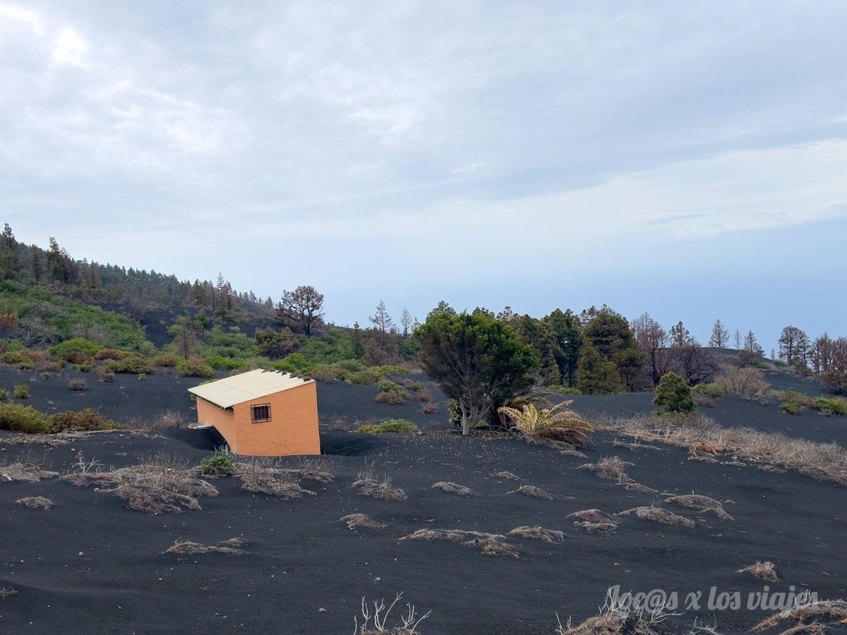 Caseta de agricultores en medio de la ceniza y lapilli del volcán de Tajogaite