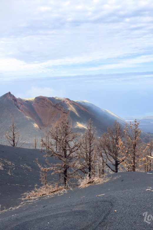 Nuevo volcán de La Palma: el Tajogaite