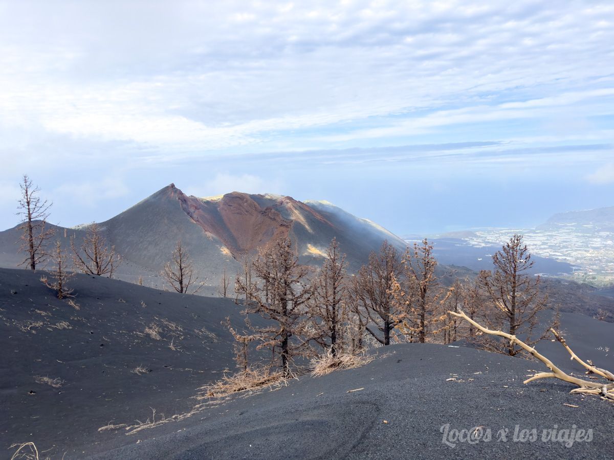 Nuevo volcán de La Palma: el Tajogaite