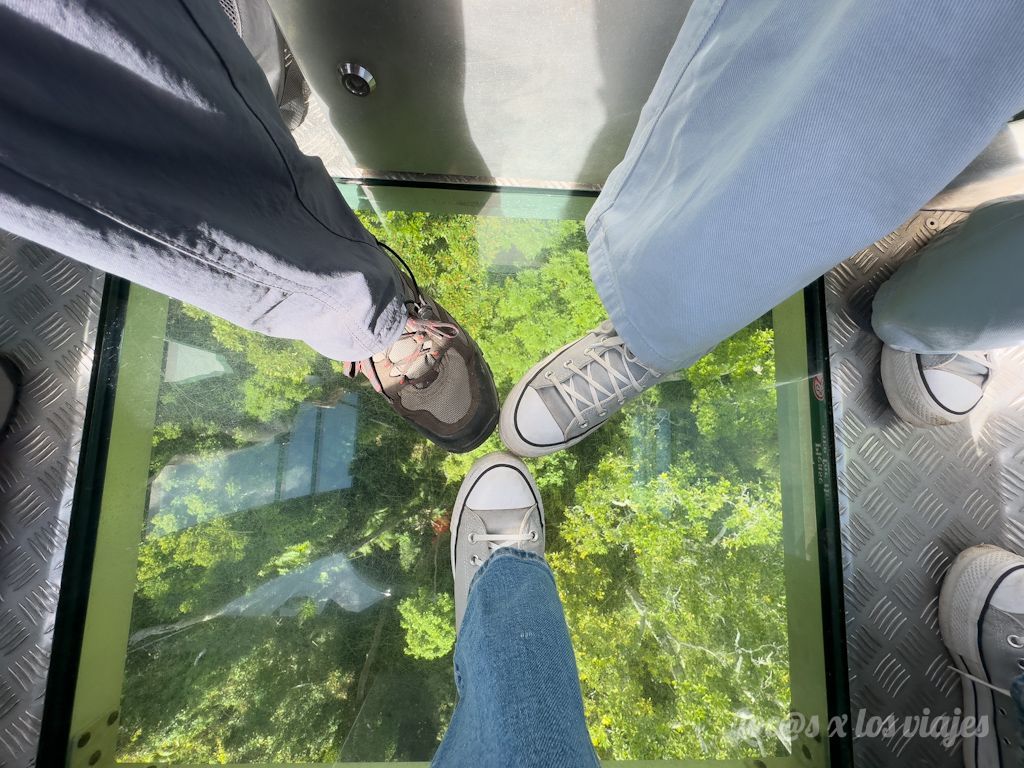 Suelo de cristal del Skyrail
