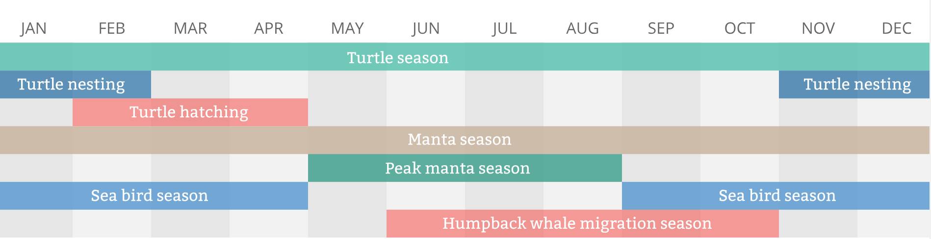 Calendario Lady Elliot Island