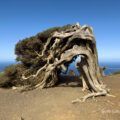 Qué ver en El Hierro
