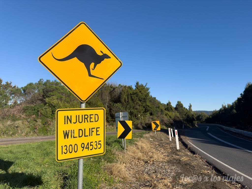 Consejos para viajar a Australia
