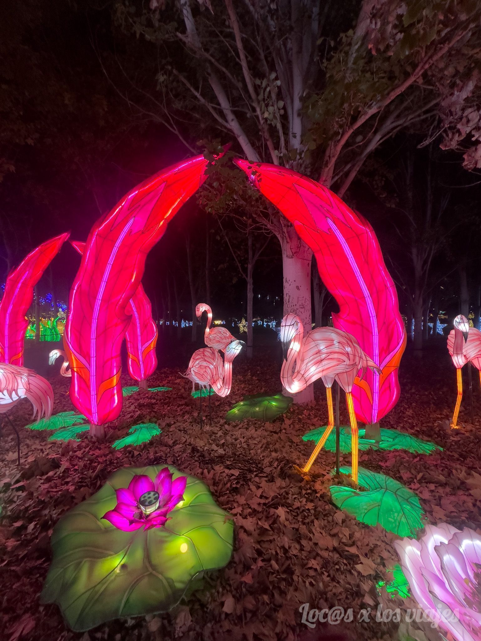Festival de Linternas de Asia de las Mágicas Navidades de Torrejón