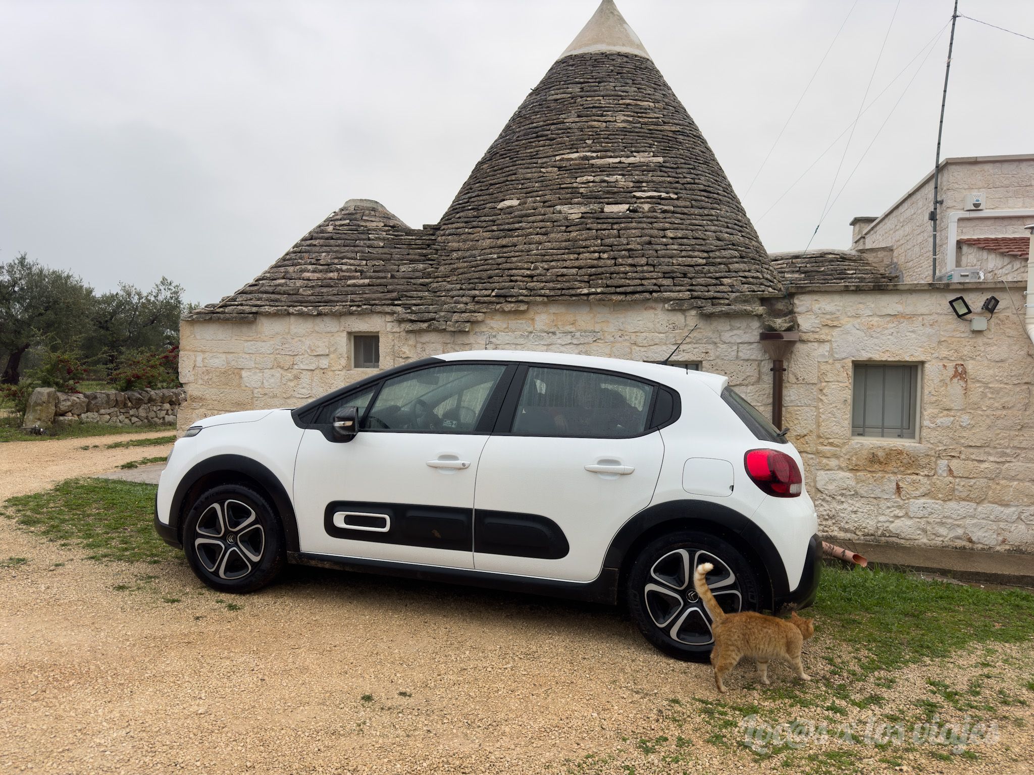 Puglia: Nuestro coche de alquiler en nuestro alojamiento de Alberobello