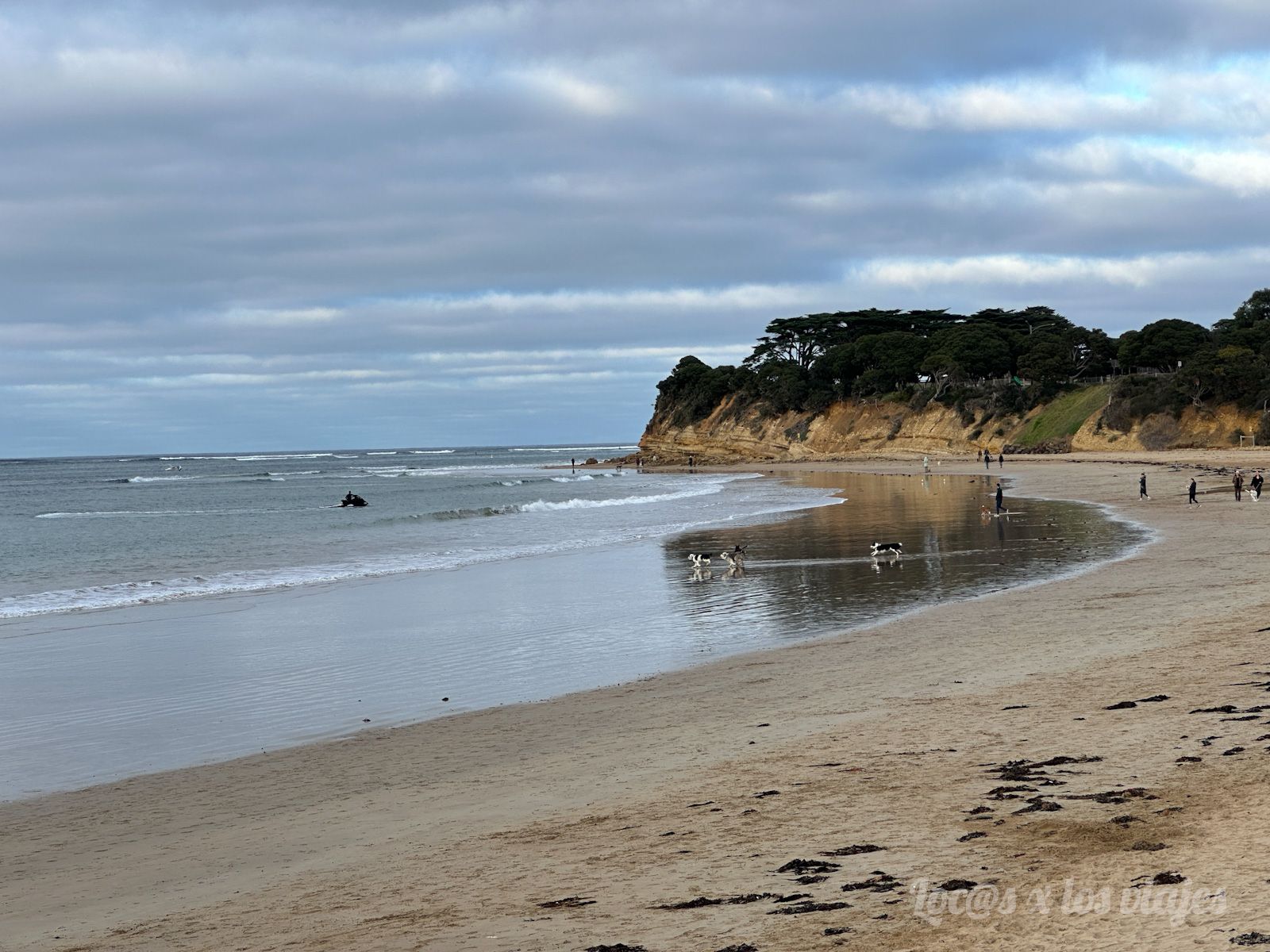 Great Ocean Road: Playa de Torquay