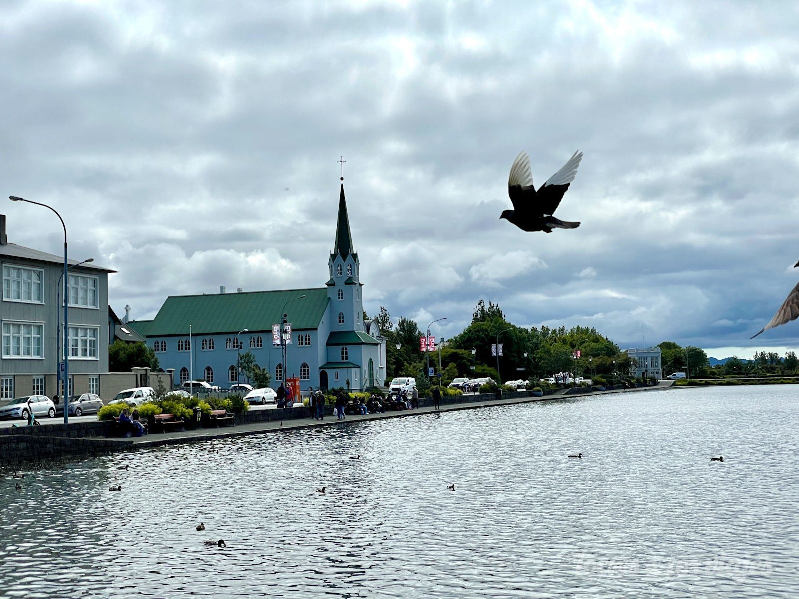 Lago Tjörnin, en Reikiavik