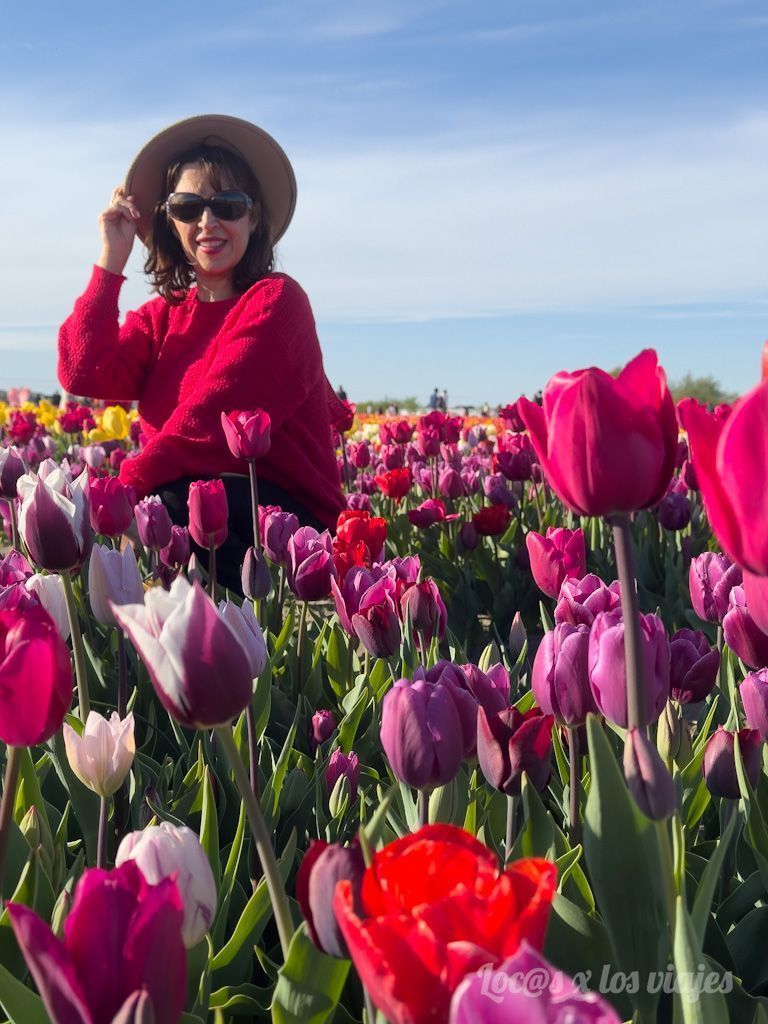 The Tulip Barn