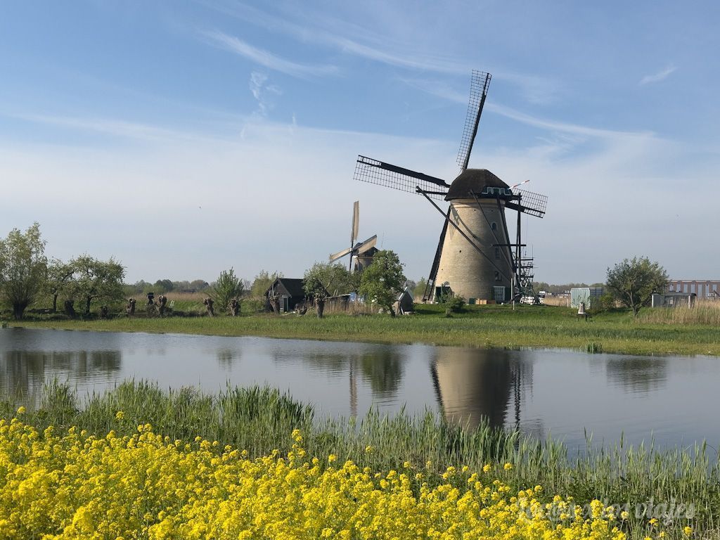 Molinos de Kinderdijk