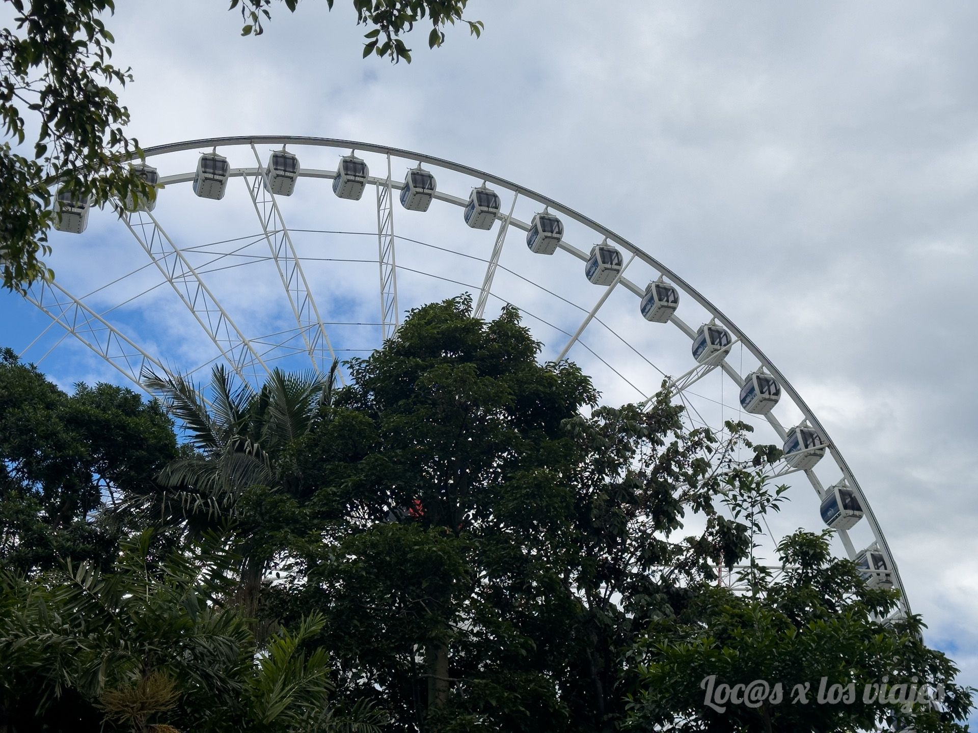 Brisbane Wheel