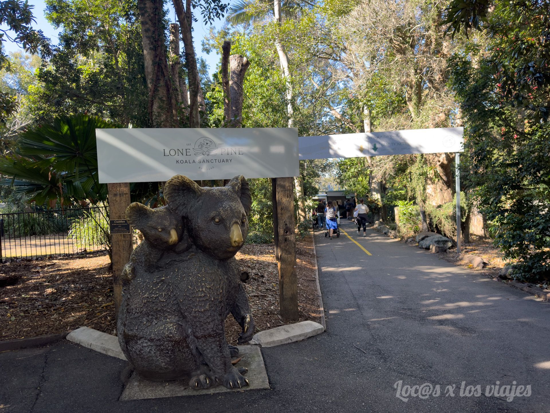 Lone Pine Koala Sanctuary en Brisbane
