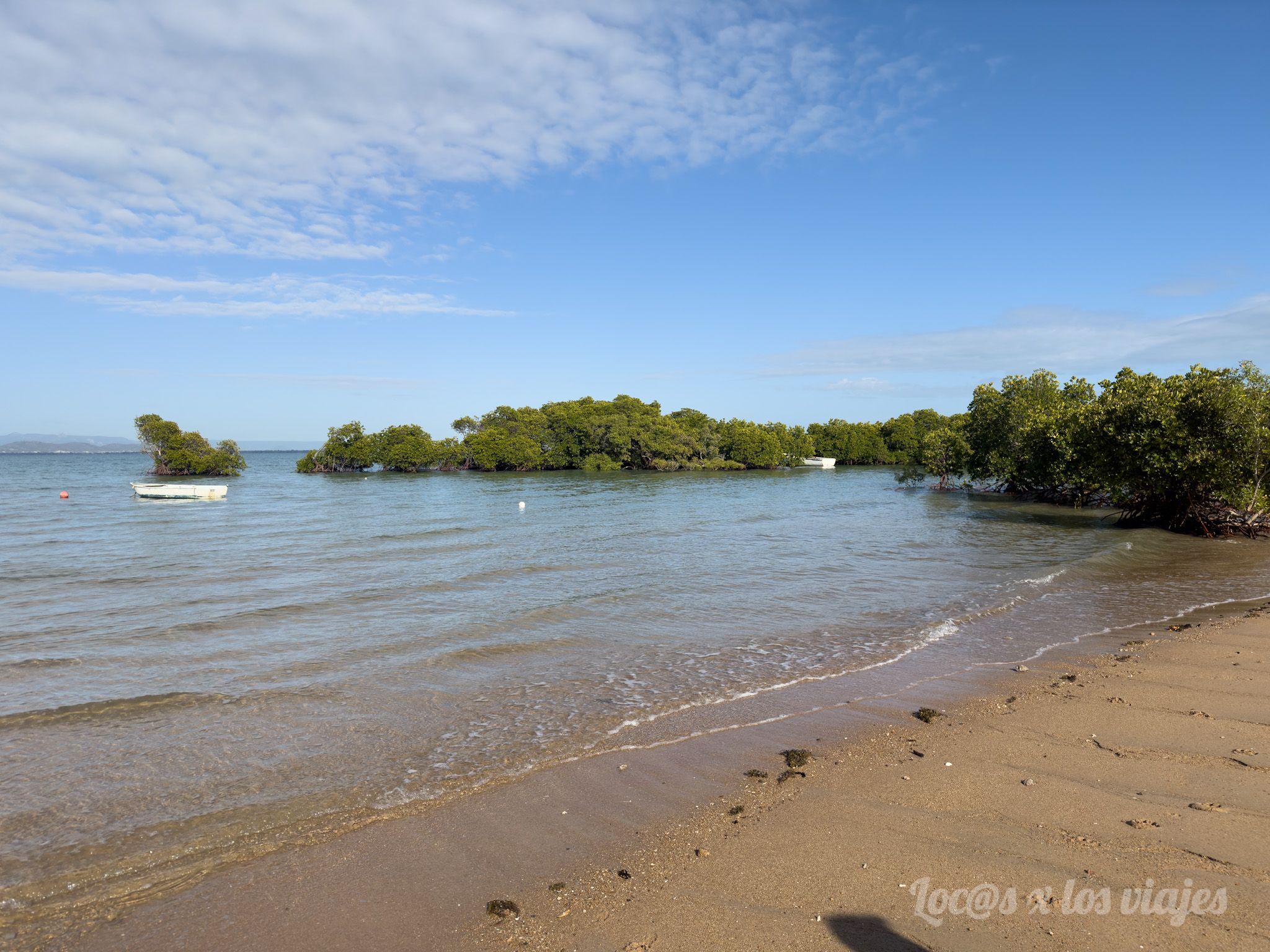 SS Adelaide en Cockle Bay
