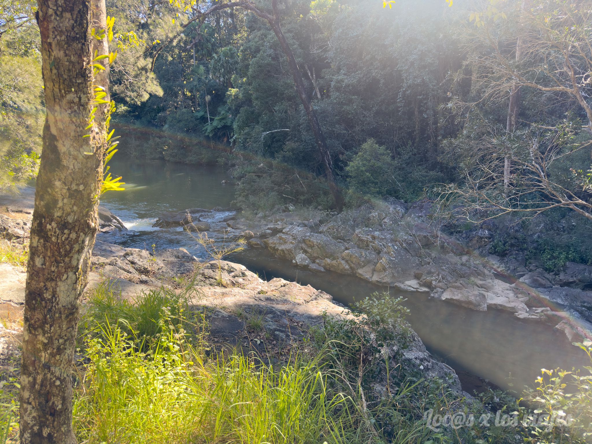 Eungella National Park
